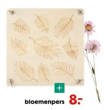 HEMA Bloemenpers aanbieding