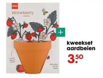 HEMA Kweekset aardbeien aanbieding