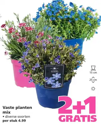 Ranzijn Vaste planten mix aanbieding