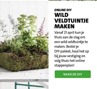 Intratuin Online diy Wild veldtuintje maken aanbieding