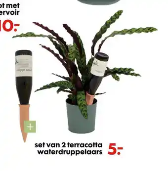 HEMA Set van 2 terracotta waterdruppelaars aanbieding