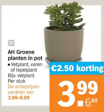 Albert Heijn AH Groene planten in pot aanbieding