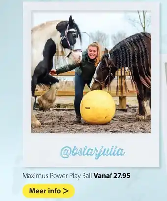 Pets Place Maximus Power Play Ball vanaf aanbieding