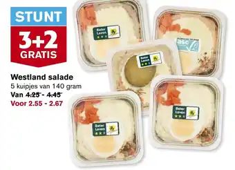 Hoogvliet Westland salade 140g aanbieding