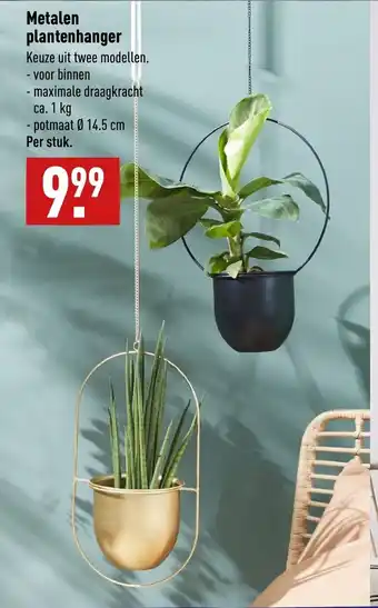 ALDI Metalen plantenhanger 1 kg aanbieding