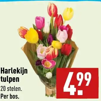 ALDI Harlekijn tulpen aanbieding