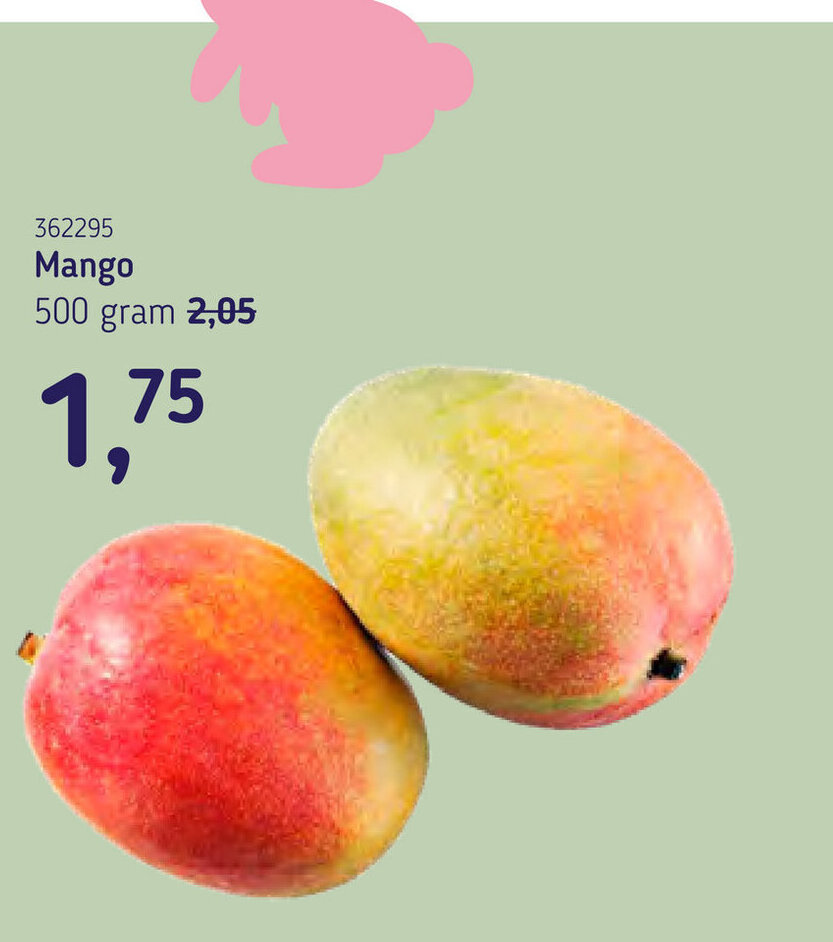 Mango 500 gram aanbieding bij Van Hoeckel Mango 500 gram aanbieding bij Van Hoeckel