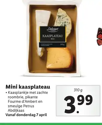 Lidl Mini kaasplateau 310 G aanbieding