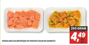 Dekamarkt Hoogland zalmpuntjes of wokvis zalm en gamba's 250g aanbieding