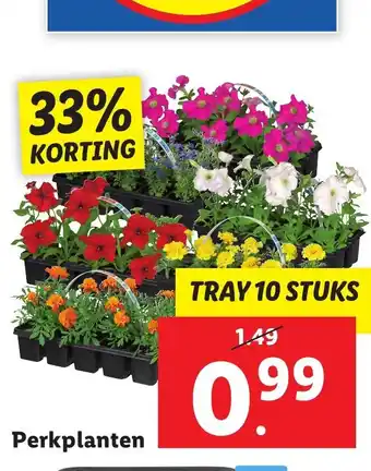 Lidl Perkplanten aanbieding