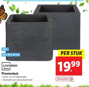 Lidl Plantenbak 39 x 39 x 33 cm aanbieding