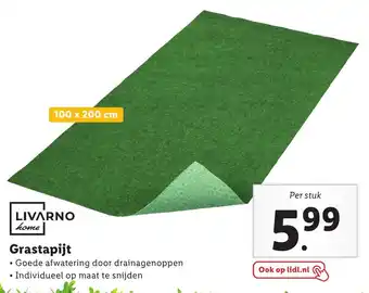 Lidl Grastapijt 100 x 200 cm aanbieding