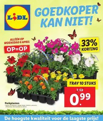 Lidl Perkplanten aanbieding