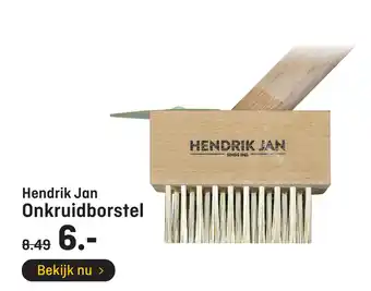 Hubo Hendrik Jan Onkruidborstel aanbieding