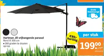 Albert Heijn Hartman Jill vrijhangende parasol aanbieding