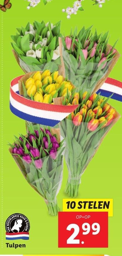 Tulpen aanbieding bij Lidl
