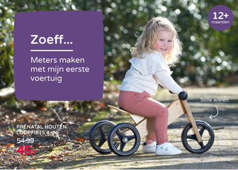 set van 3 houten boompjes aanbieding bij HEMA