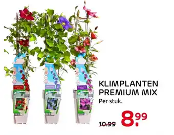 Praxis Klimplanten Premium Mix aanbieding