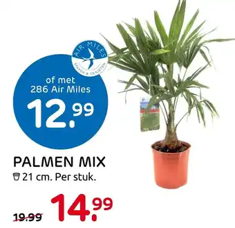 Praxis Palmen Mix 21 cm aanbieding