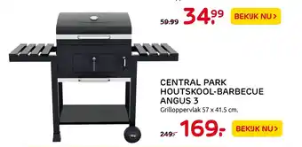 Praxis Central Park Houtskool-Barbecue Angus 3 57 x 41.5 cm aanbieding