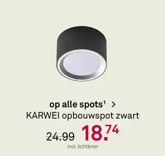 Karwei Opbouwspot zwart aanbieding