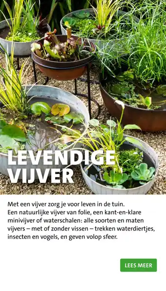 Intratuin Levendige Vijver aanbieding