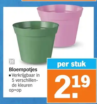 Albert Heijn Bloempotjes aanbieding