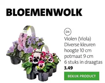 Intratuin Violen (Viola) aanbieding