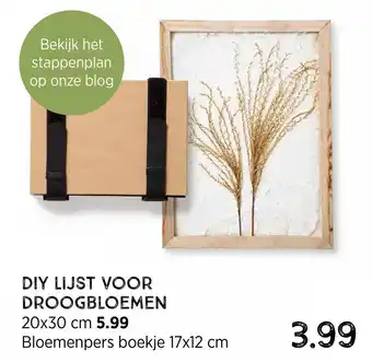 Xenos Diy Lijst Voor Droogbloemen aanbieding