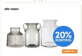 Blokker Alle Vazen aanbieding