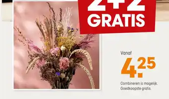 Kwantum Droogbloemen vanaf aanbieding