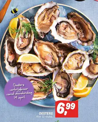 Dekamarkt Oesters aanbieding