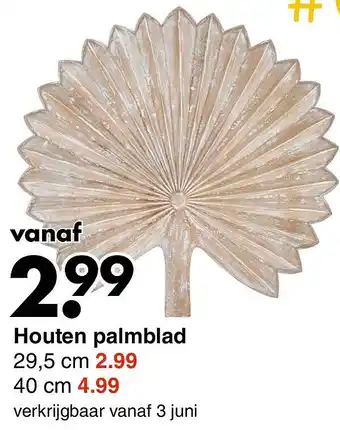 Wibra Houten palmblad aanbieding