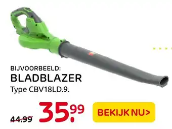 Praxis Bladblazer aanbieding