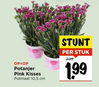 Vomar Voordeelmarkt Potanjer Pink Kisses aanbieding