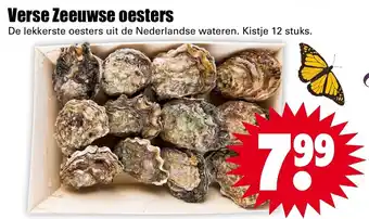 Dirk Verse zeeuwse oesters 12 stuks aanbieding