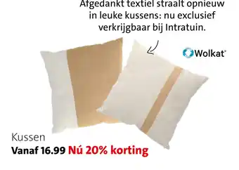 Intratuin Kussen aanbieding