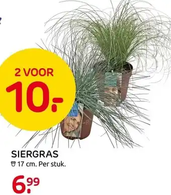 Praxis SIERGRAS aanbieding