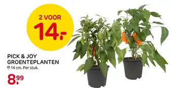 Praxis Pick & joy groenteplanten 14cm aanbieding