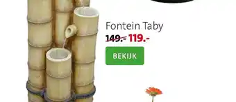 Intratuin Fontein Taby aanbieding