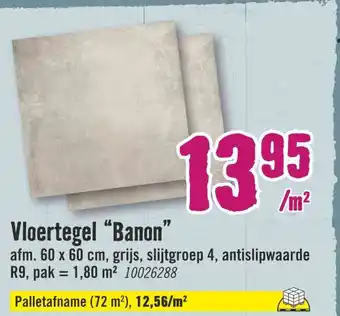 Hornbach Vloertegel "banon" aanbieding