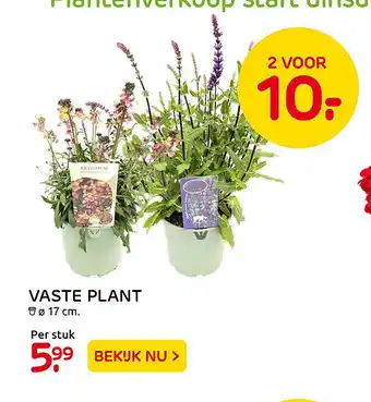 Praxis Vaste plant aanbieding