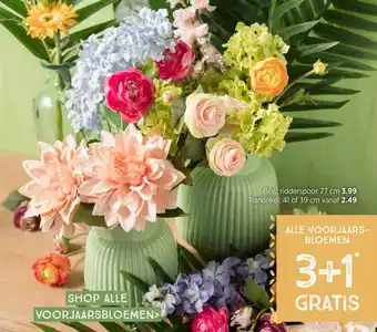 Xenos Alle Voorjaarsbloemen aanbieding