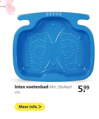 Boerenbond Intex voetenbad aanbieding