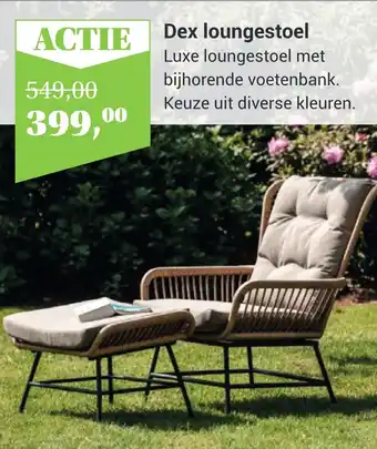 TuinWereld Dex loungestoel aanbieding