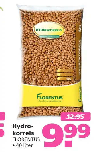 Ranzijn Hydrokorrels 40liter aanbieding