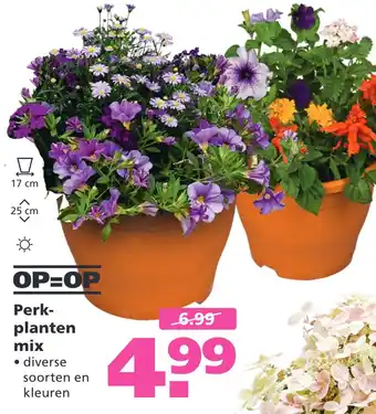 Ranzijn Perkplanten mix aanbieding