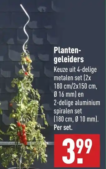 ALDI Plantengeleiders aanbieding