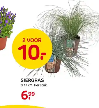 Praxis Siergas 17 cm aanbieding