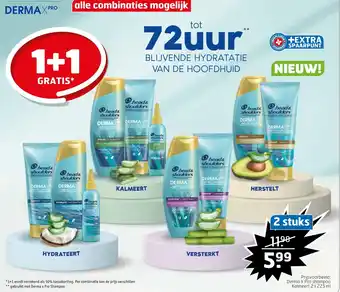 Trekpleister Derma X Pro shampoo Kalmeert 2x225 ml aanbieding